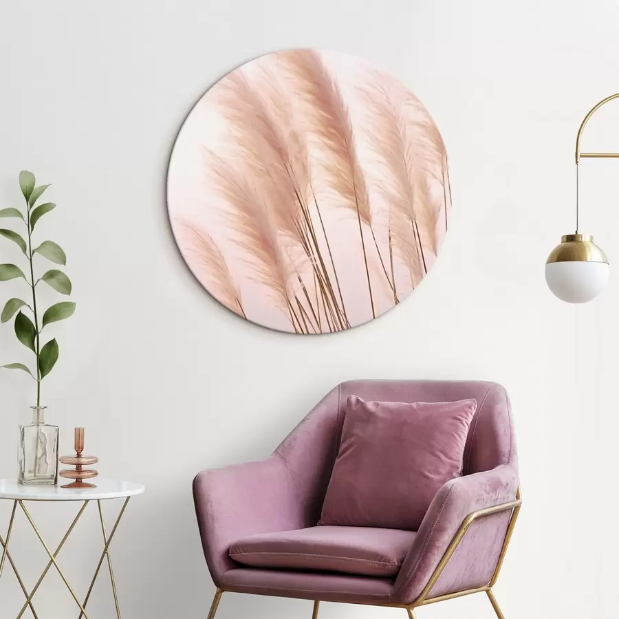 Paveikslėlis Šviesios žolės su puriais viršūniais ant šviesaus fono r46179