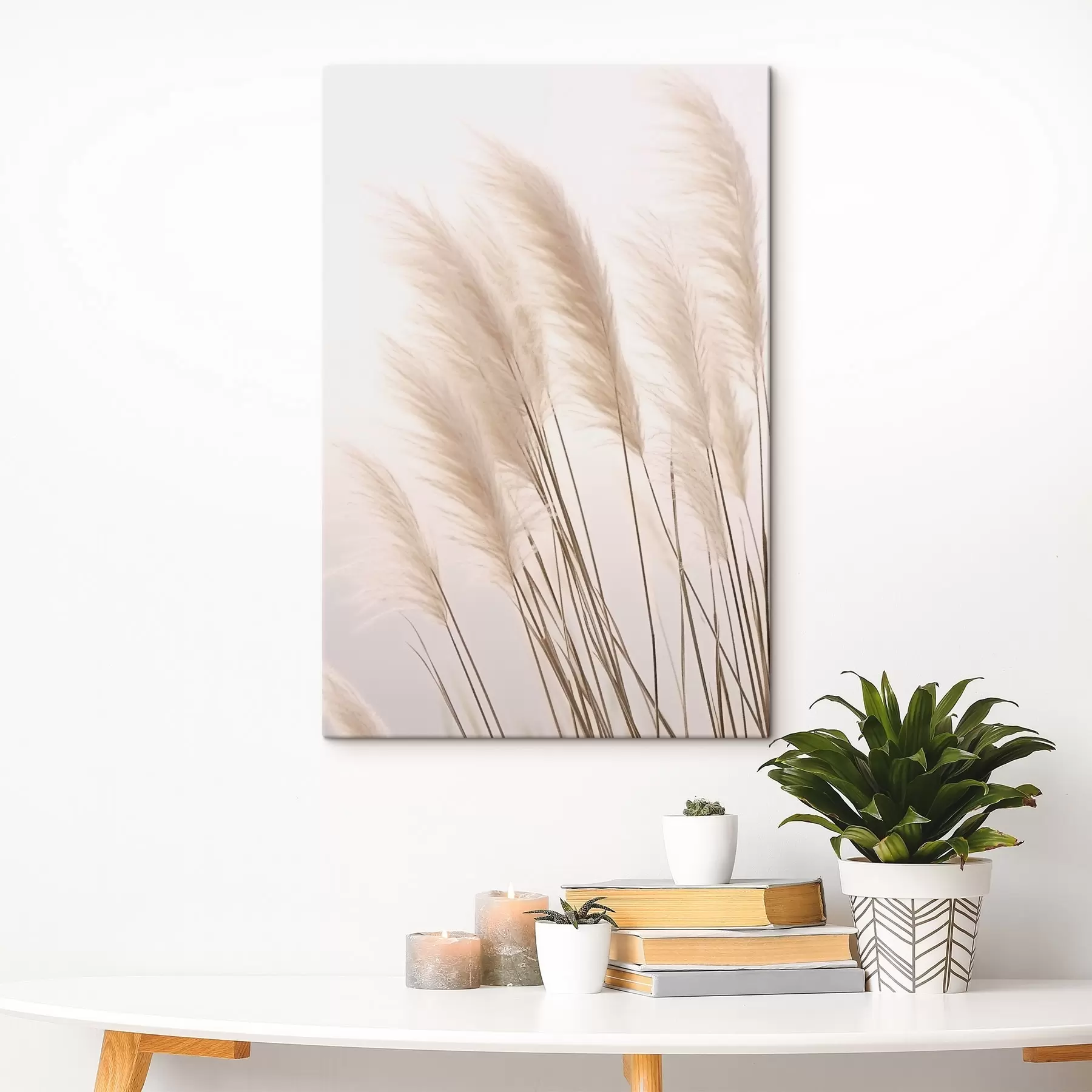 Paveikslėlis Šviesios žolės su puriais viršūniais ant šviesaus fono s46179