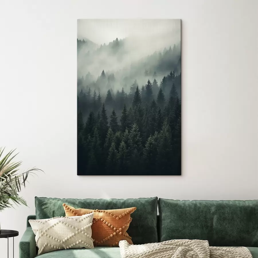 Paveikslėlis Rūkas, apgaubiantis tankų visžalį mišką s46512