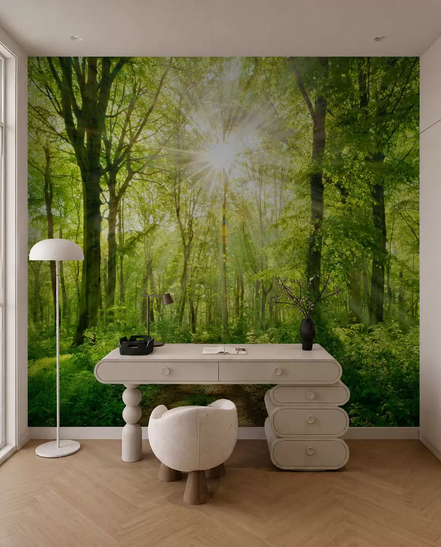 Fototapetai Takas saulėtame miške u22252