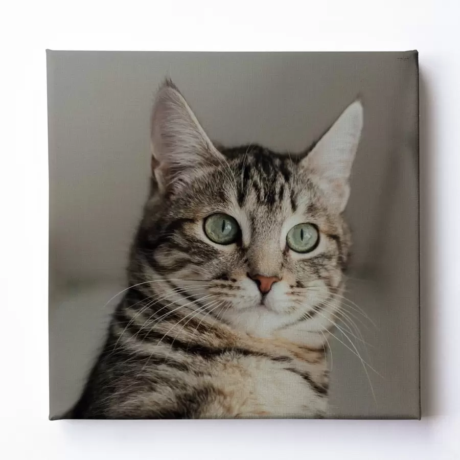 Paveikslėlis Romantiška dovana porai pagal nuotrauką s47204