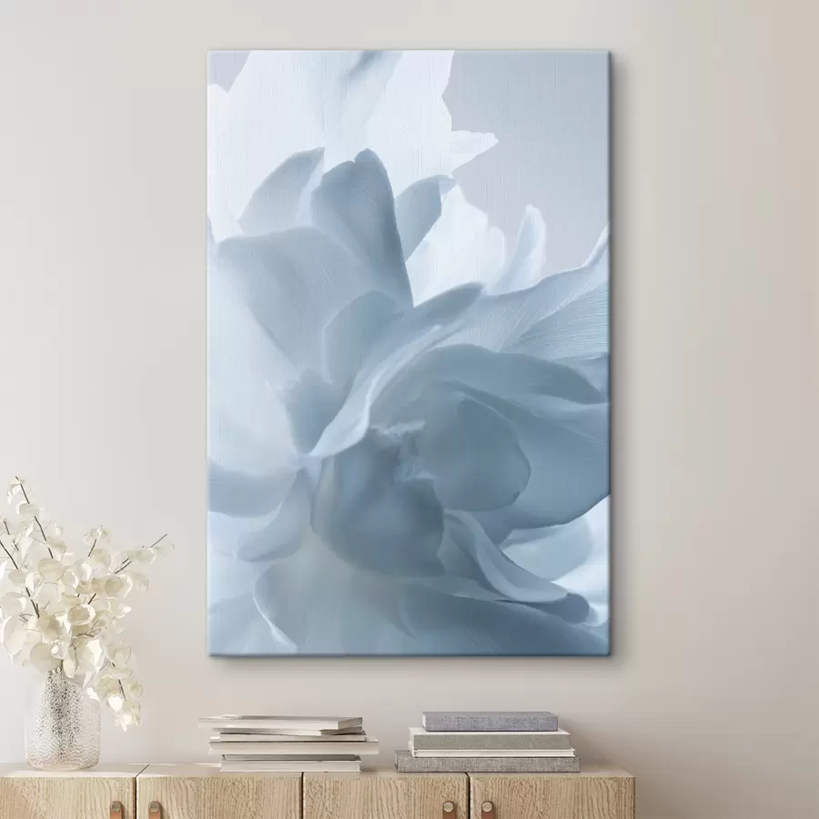 Paveikslėlis subtilūs mėlynos spalvos atspalvių žiedlapiai s47691