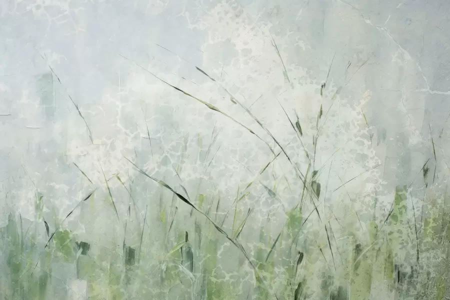 Fototapetai Žolės lengvumas w05176