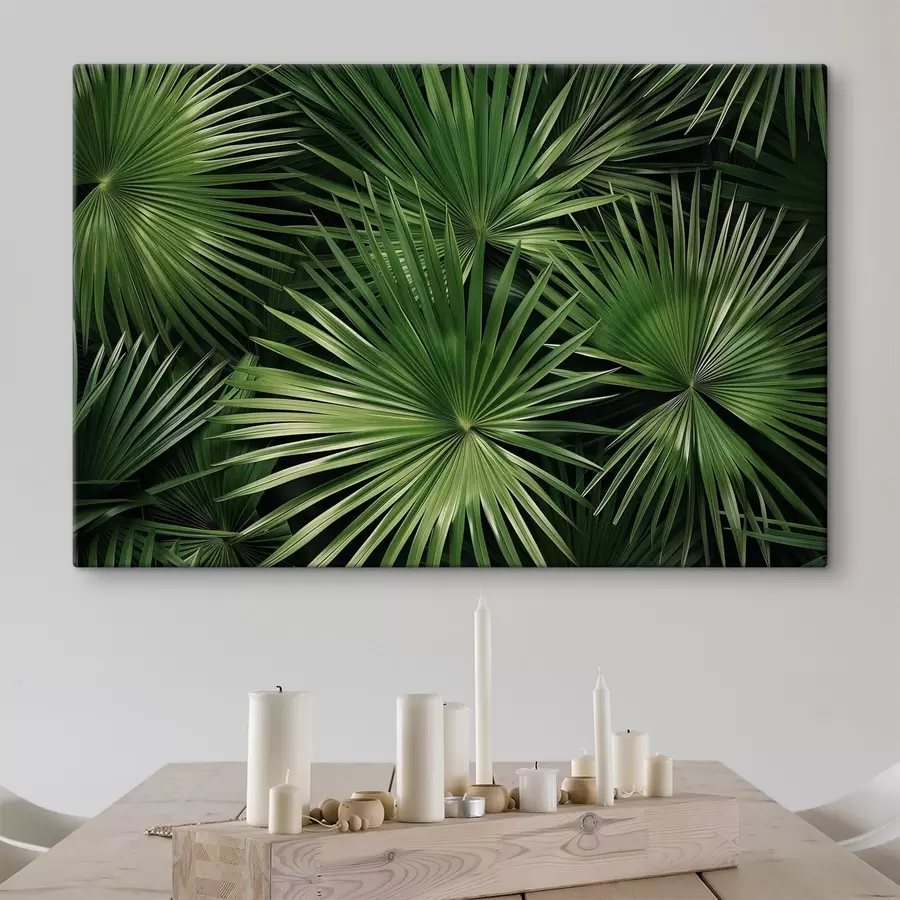 Paveikslėlis Didelės lapai, bragaea s47746