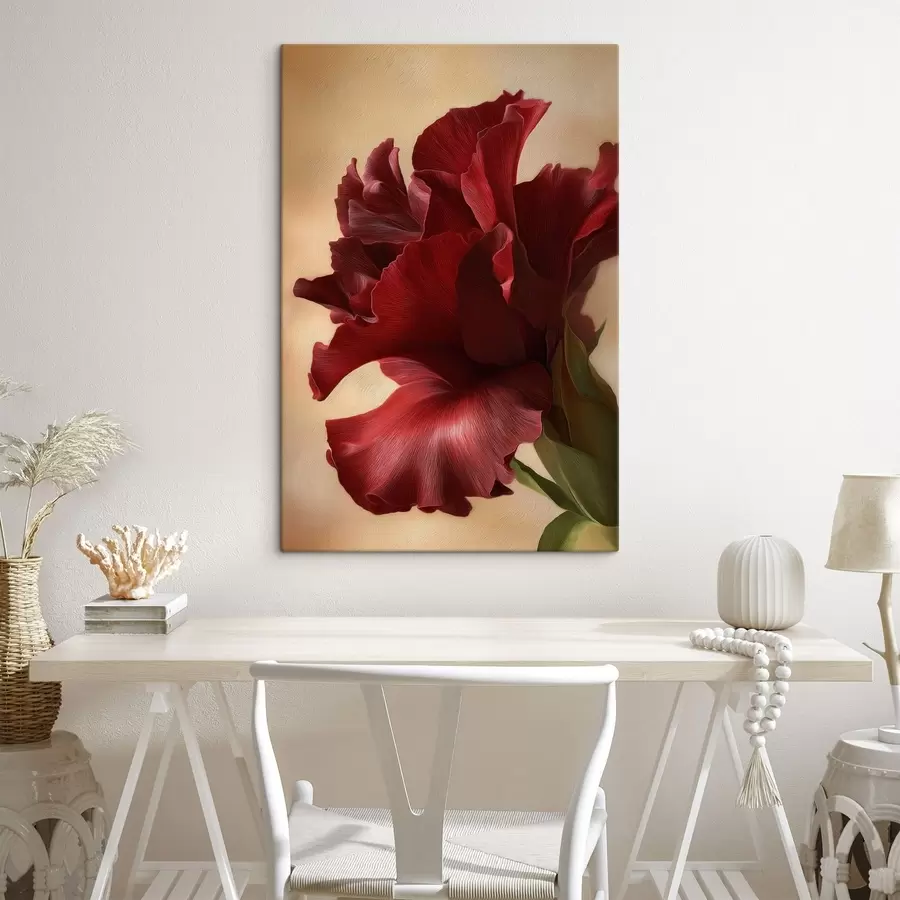 Paveikslėlis Gvazdikas s48133