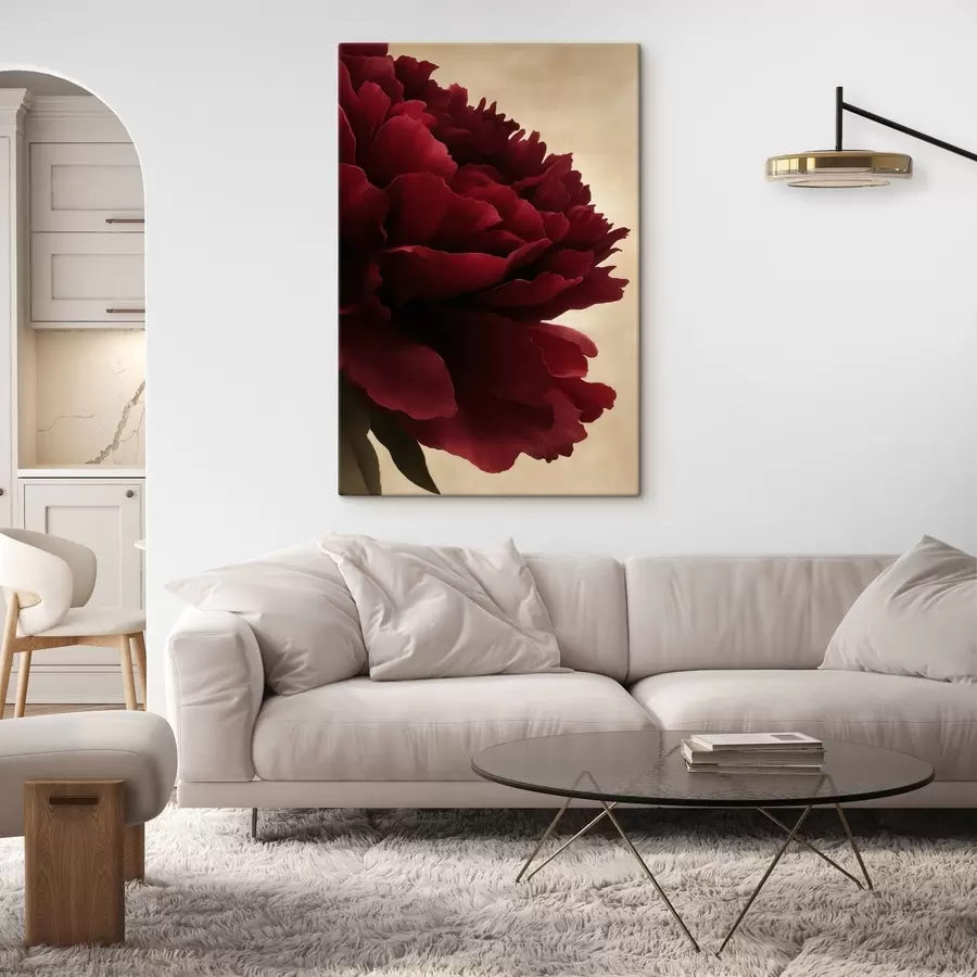 Paveikslėlis Aster s48134