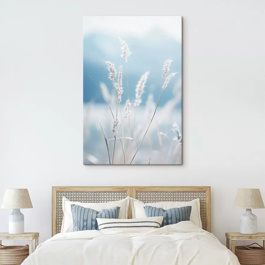 Paveikslėlis Balta puri žolė prieš švelnų mėlyną dangų, su nedideliu lauko gilumu s47880