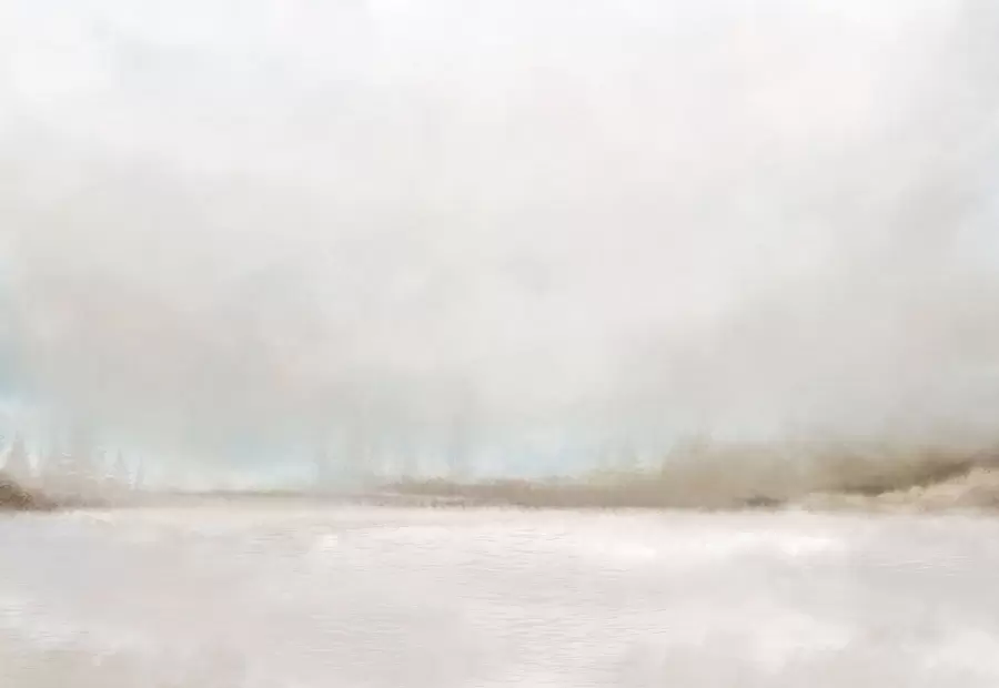 Fototapetai Rūko apgaubtas kraštovaizdis su ežeru ir mišku w05319