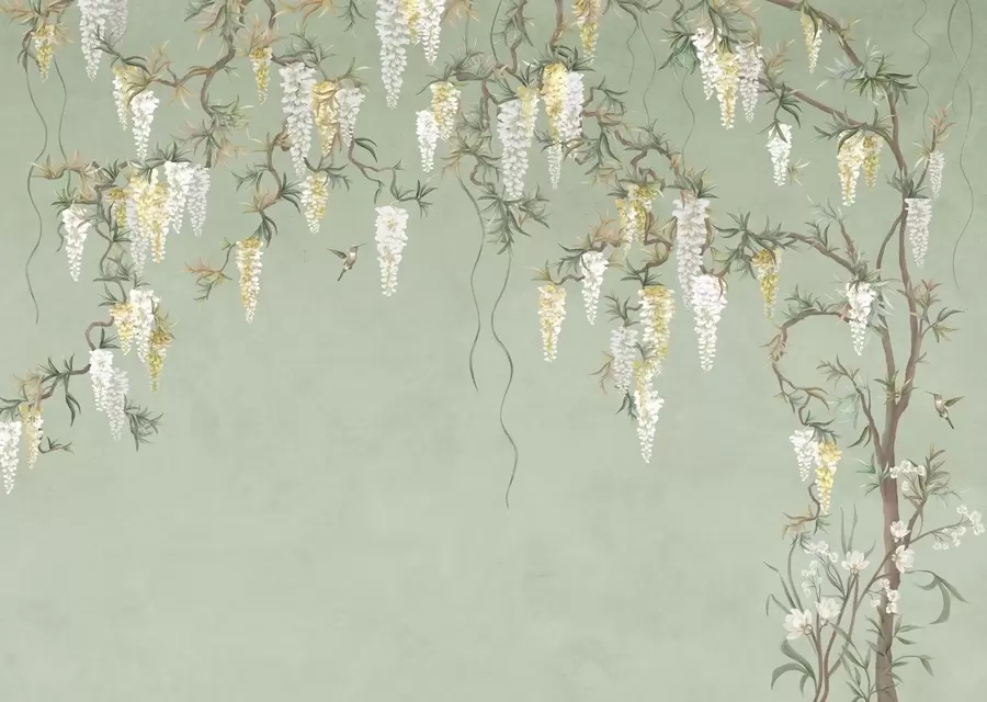 Fototapetai Žydinčios šakos su baltomis gėlėmis ir paukščiais ant žalios w05394