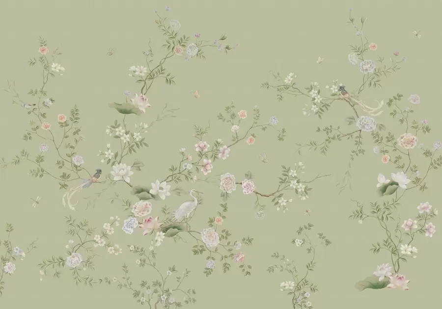 Fototapetai Žydinčios šakos su paukščiais ant šviesiai žalios w05416