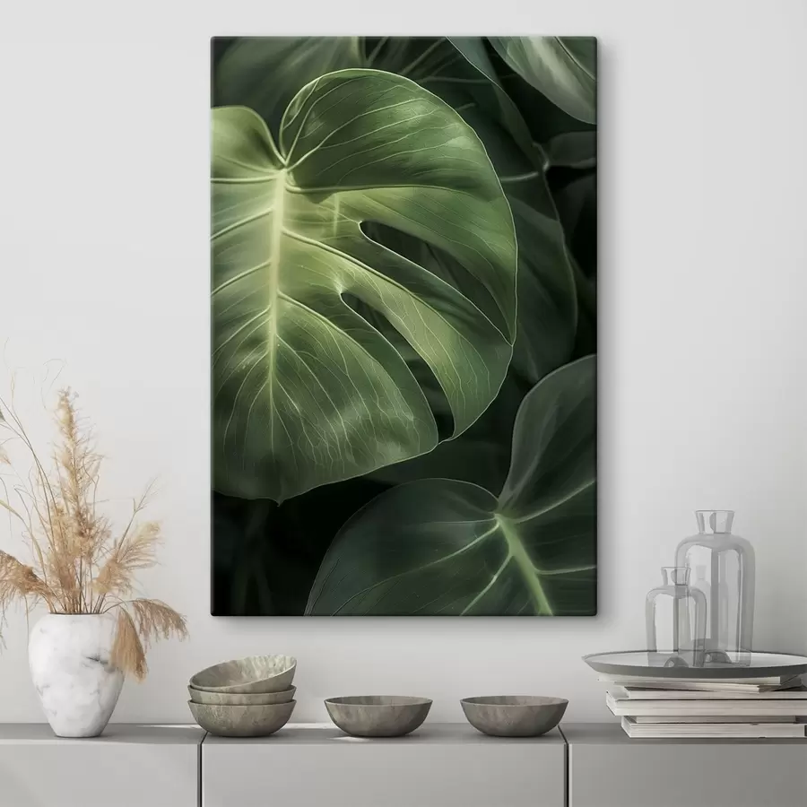 Paveikslėlis Dideli atogrąžų lapai s48578