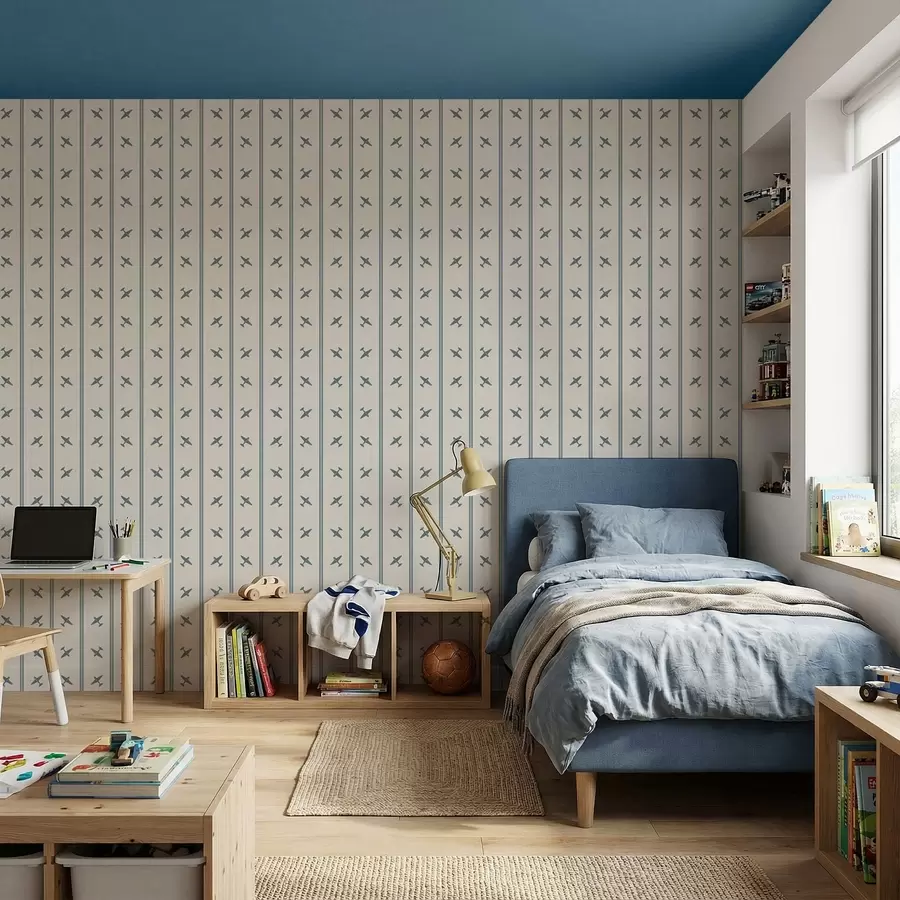 Fototapetai Lėktuvai su mėlynomis juostomis a01170