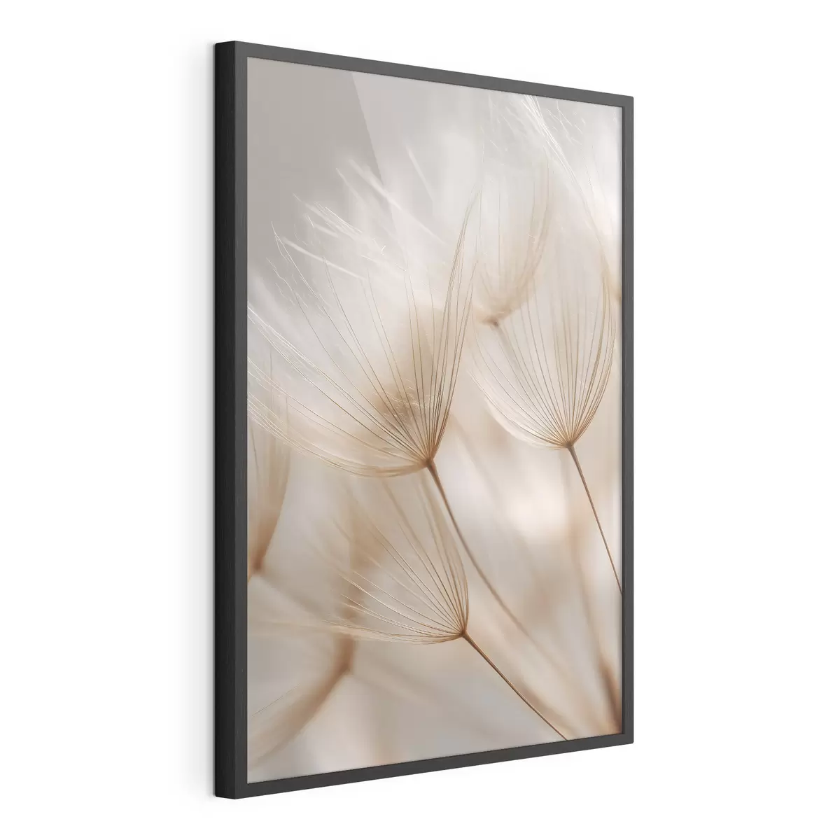 Plakatas Oro kiaulpienė f49428