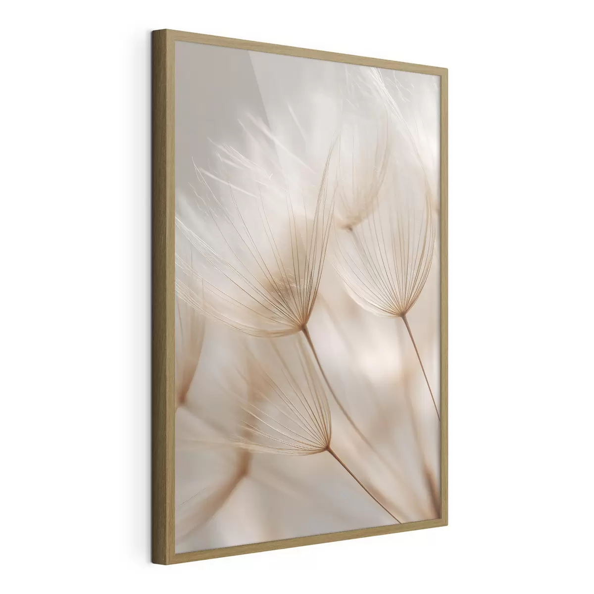 Plakatas Oro kiaulpienė f49428
