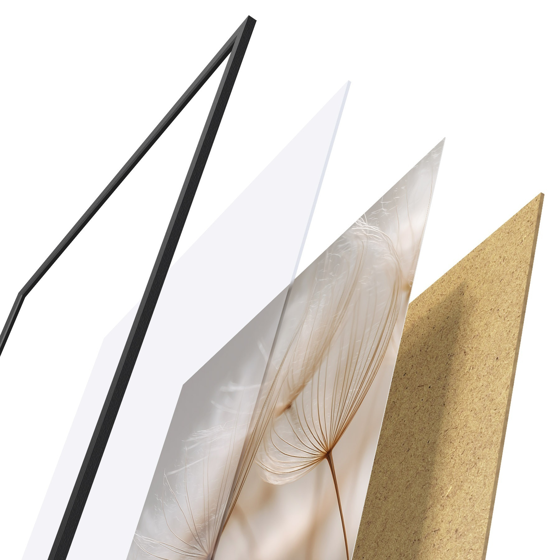 Plakatas Oro kiaulpienė f49428