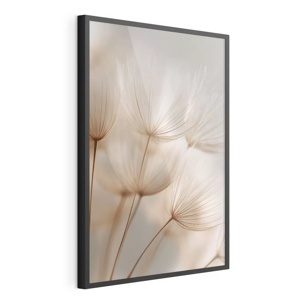 Plakatas Oro kiaulpienė f49429