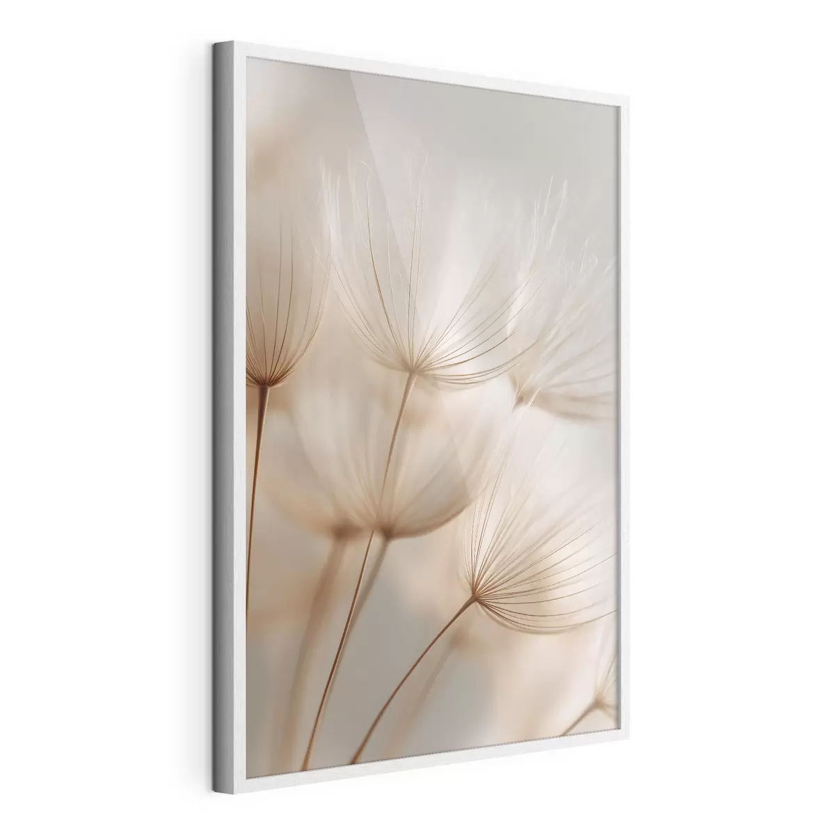 Plakatas Oro kiaulpienė f49429