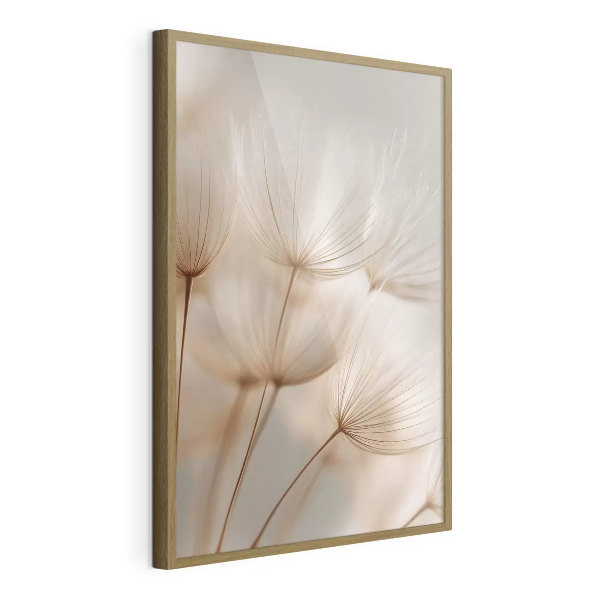 Plakatas Oro kiaulpienė f49429