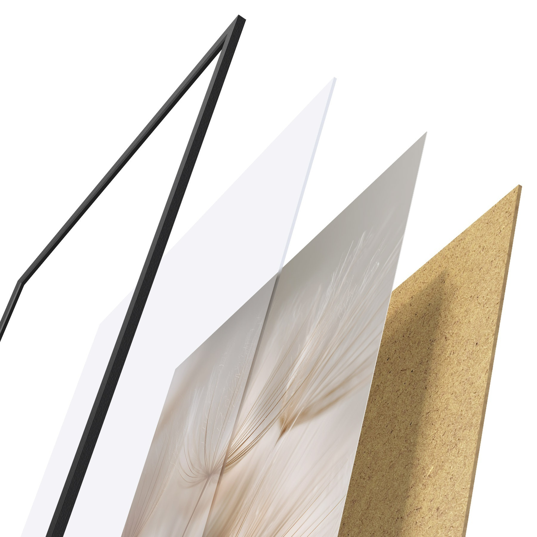 Plakatas Oro kiaulpienė f49429