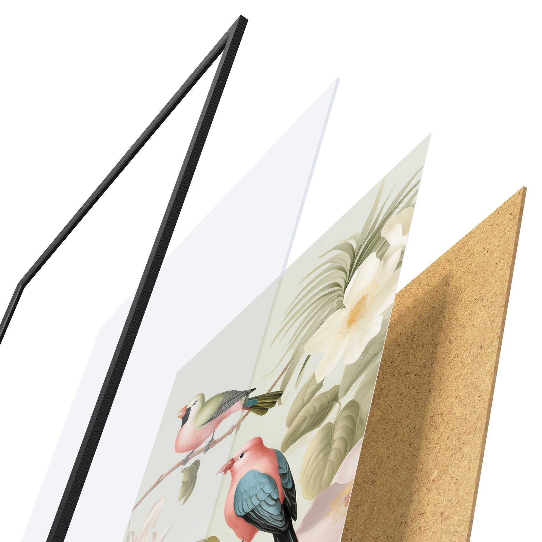 Plakatas Kolibris žydinčiame sode f49733