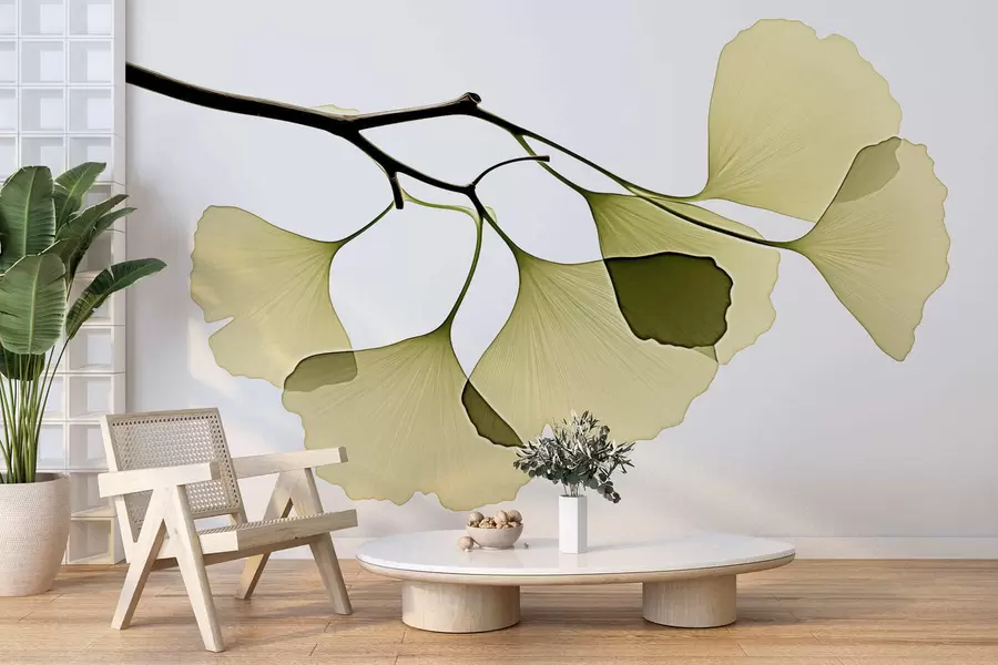 Fototapetai Ginkgo vėduoklinių lapų w09968