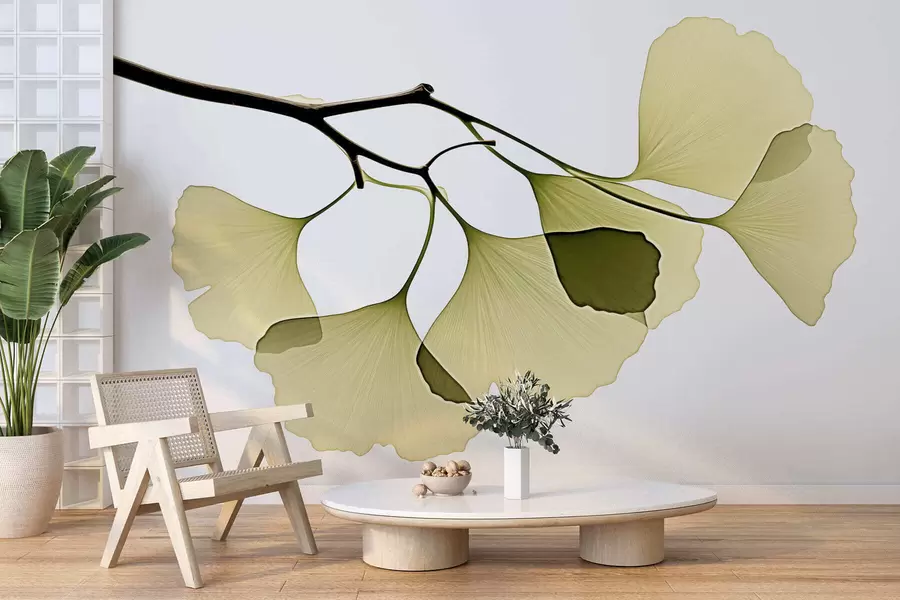 Fototapetai Ginkgo vėduoklinių lapų w09968