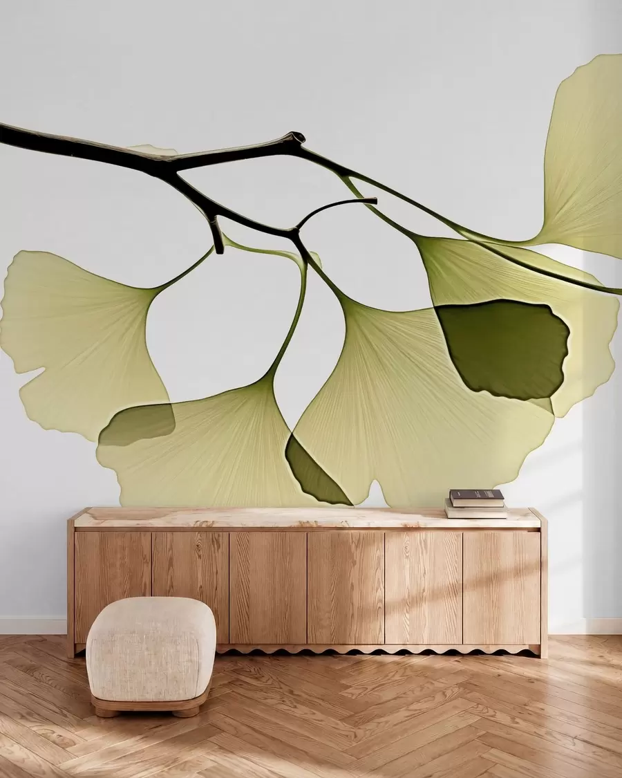 Fototapetai Ginkgo vėduoklinių lapų w09968