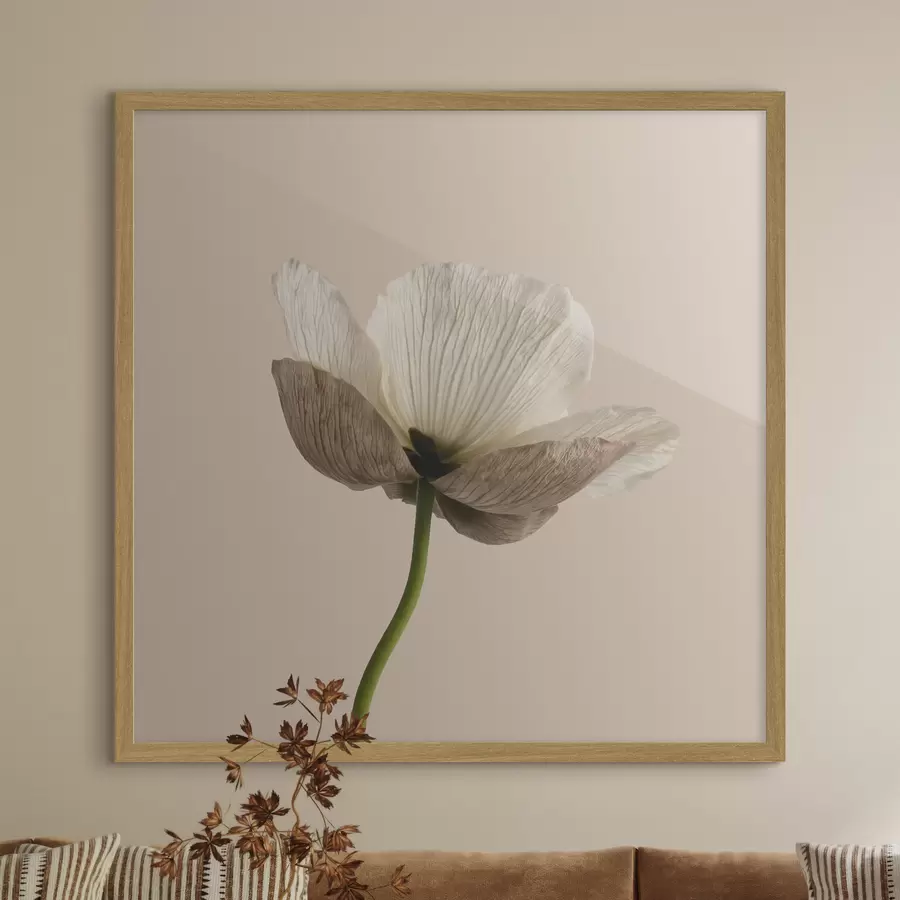 Fototapetai Subtilus gėlės motyvas su permatomais žiedlapiais ant smėlio spalvos fono, minimalistiniu stiliumi f49718