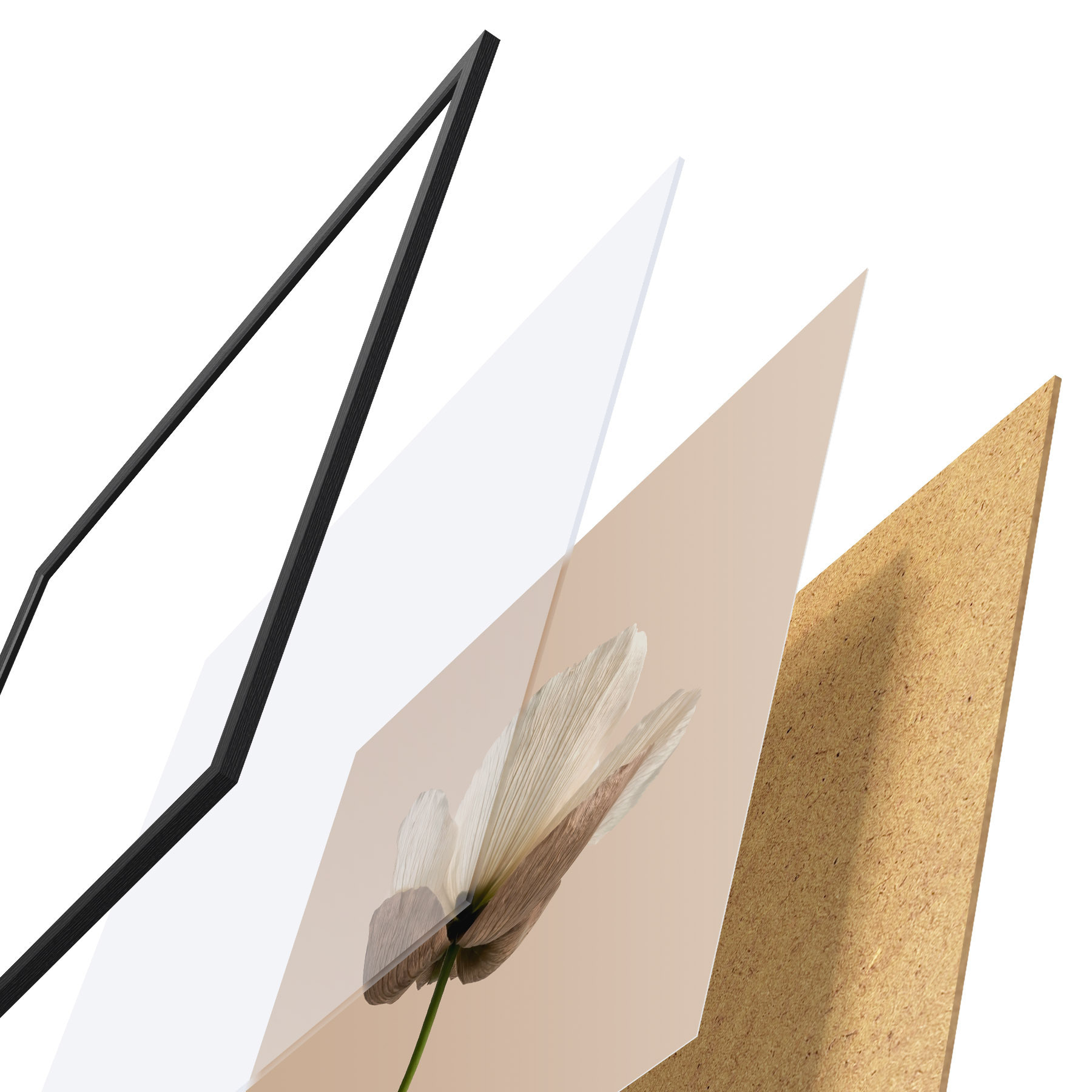 Plakatas Subtilus gėlės motyvas su permatomais žiedlapiais ant smėlio spalvos fono, minimalistiniu stiliumi f49718