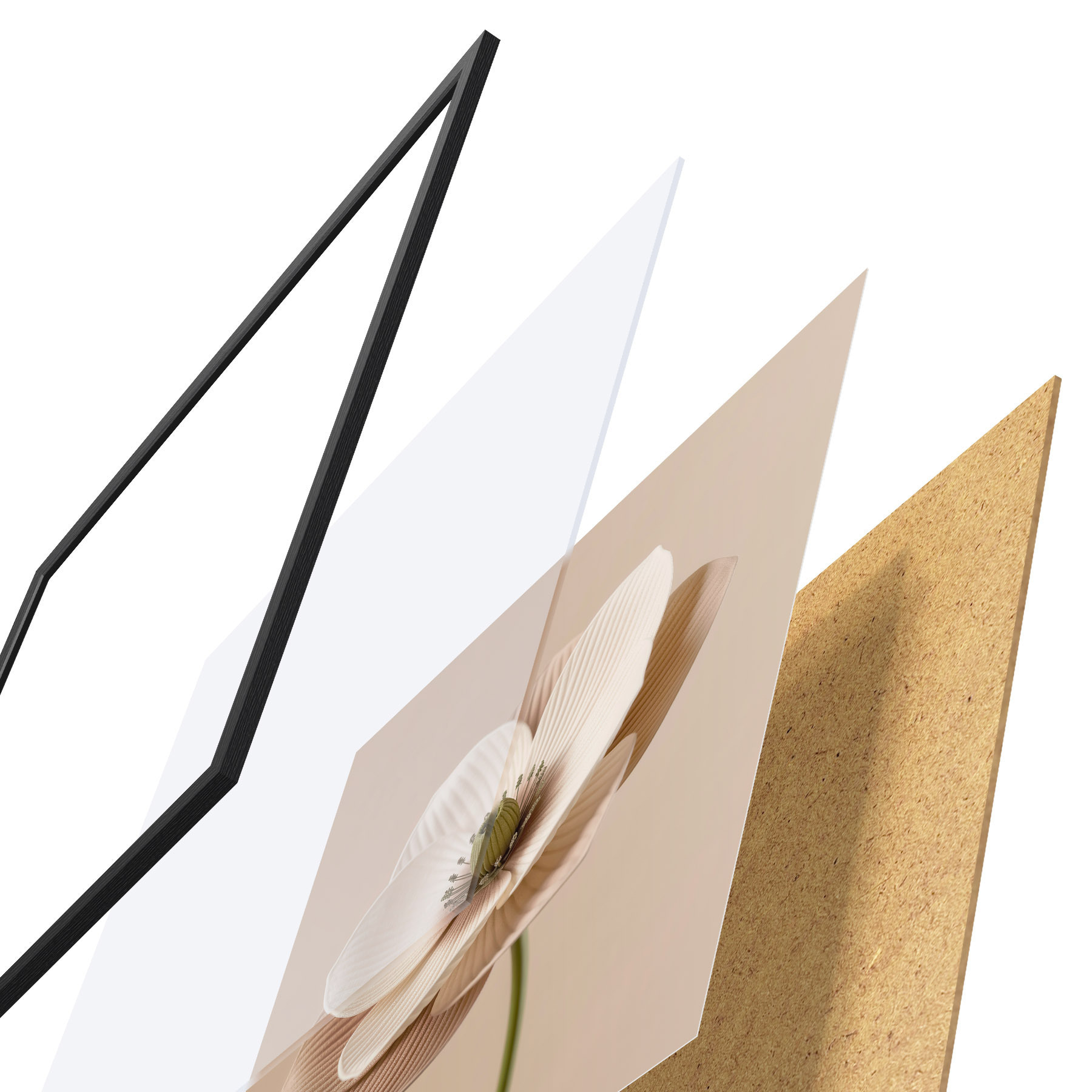 Plakatas Gėlė su tekstūruotais žiedlapiais, atliekta smėlio spalvų paletėje, minimalistinio stiliaus f49719