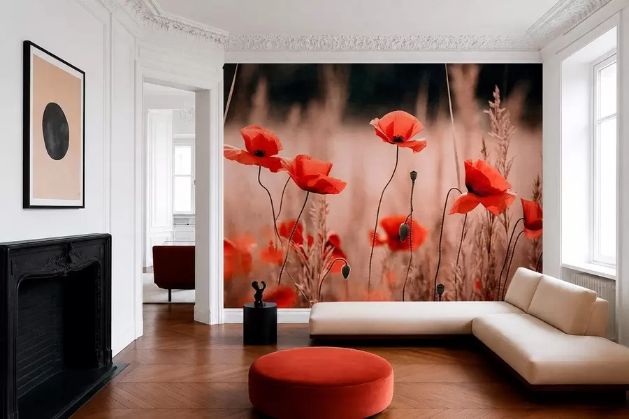 Fototapetai Ryškiai raudoni aguonai tarp sausų žolių w05866