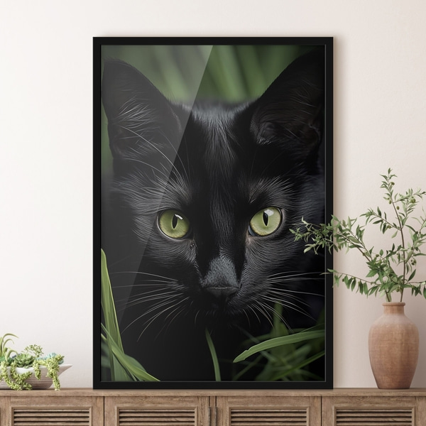 Plakatas „Juodosios katės žvilgsnis tropikuose“, Plakatai gyvūnai, f50761bk : Uwalls