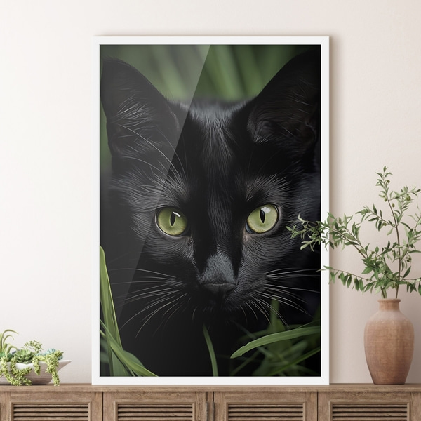 Plakatas „Juodosios katės žvilgsnis tropikuose“, Plakatai gyvūnai, f50761wh : Uwalls