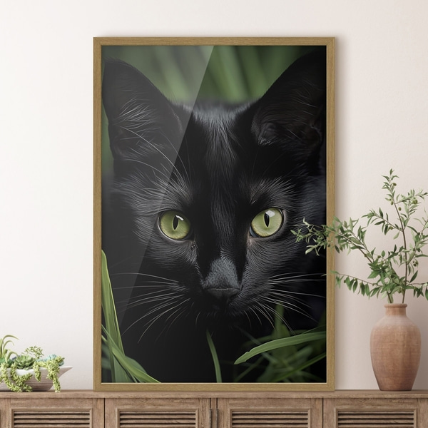 Plakatas „Juodosios katės žvilgsnis tropikuose“, Plakatai gyvūnai, f50761wo : Uwalls