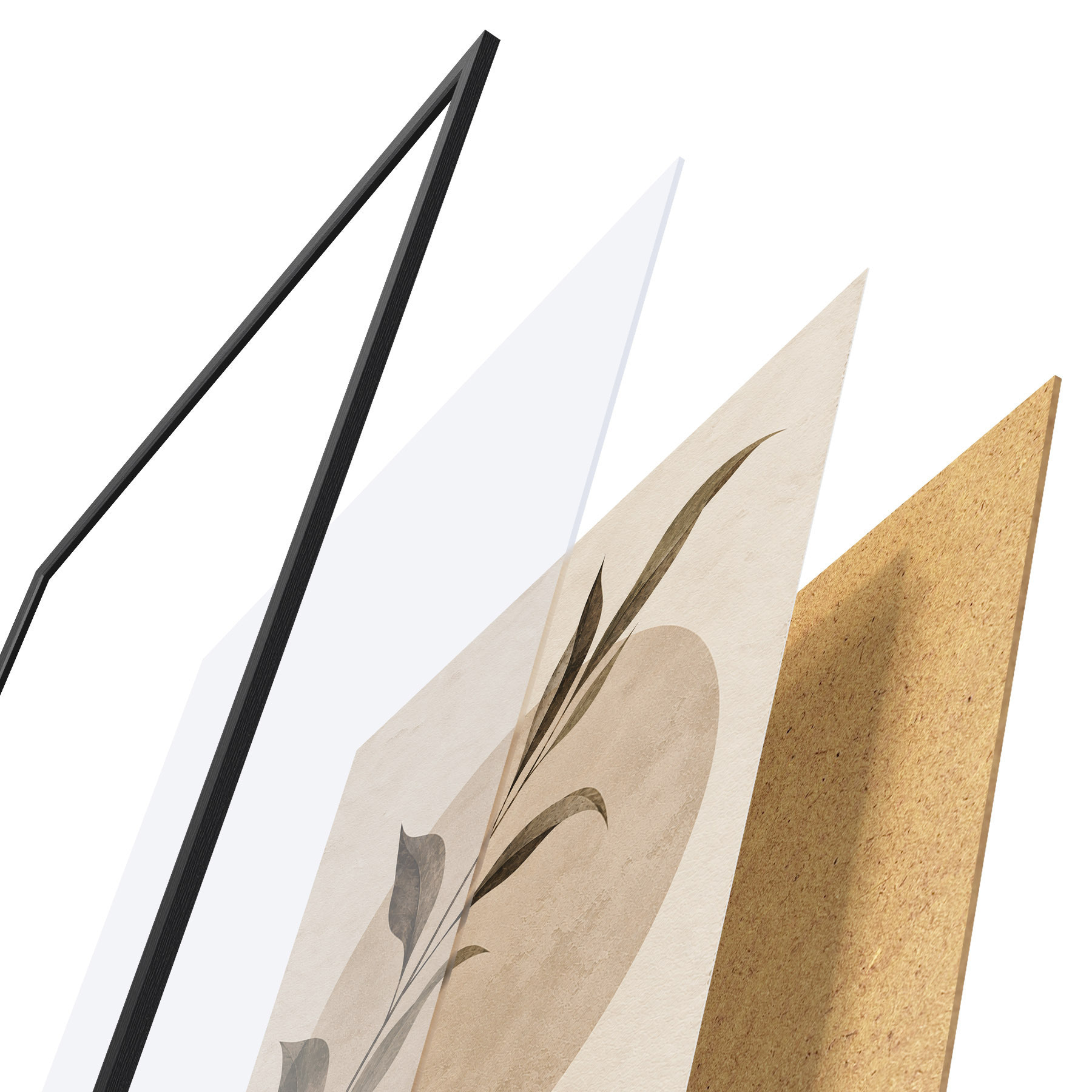 Plakatas Botaninė tyla d31055
