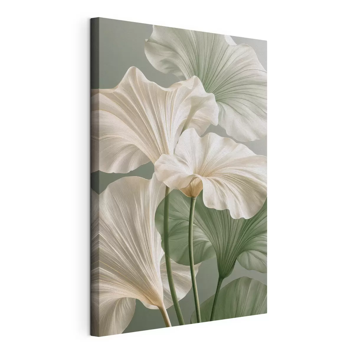 Paveikslėlis Švelnūs lapai s50868