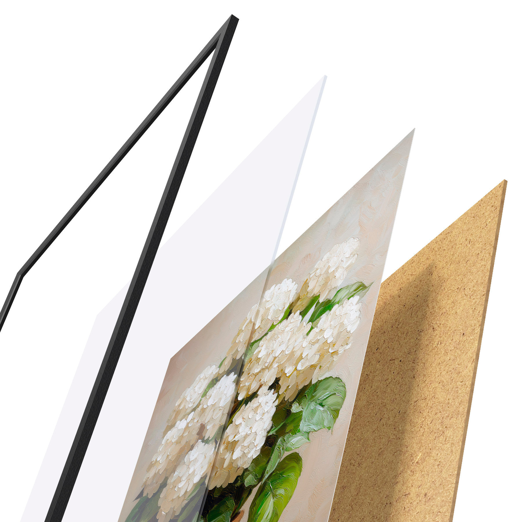 Plakatas Baltos hortenzijos f51062