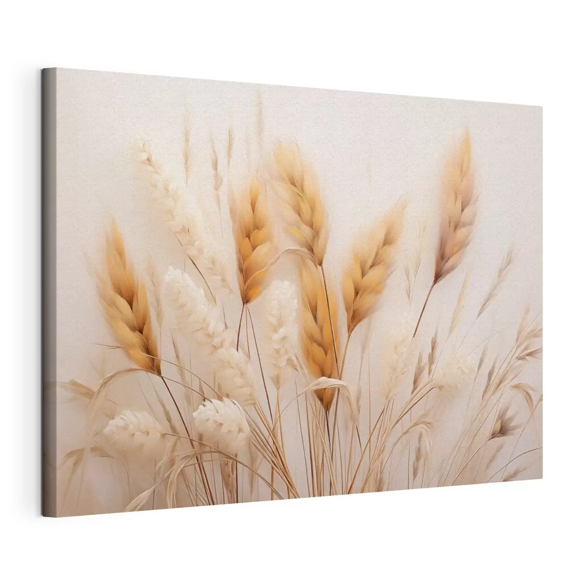 Paveikslėlis Pūkuota pampų žolė „Eco Style“ stiliumi s51093