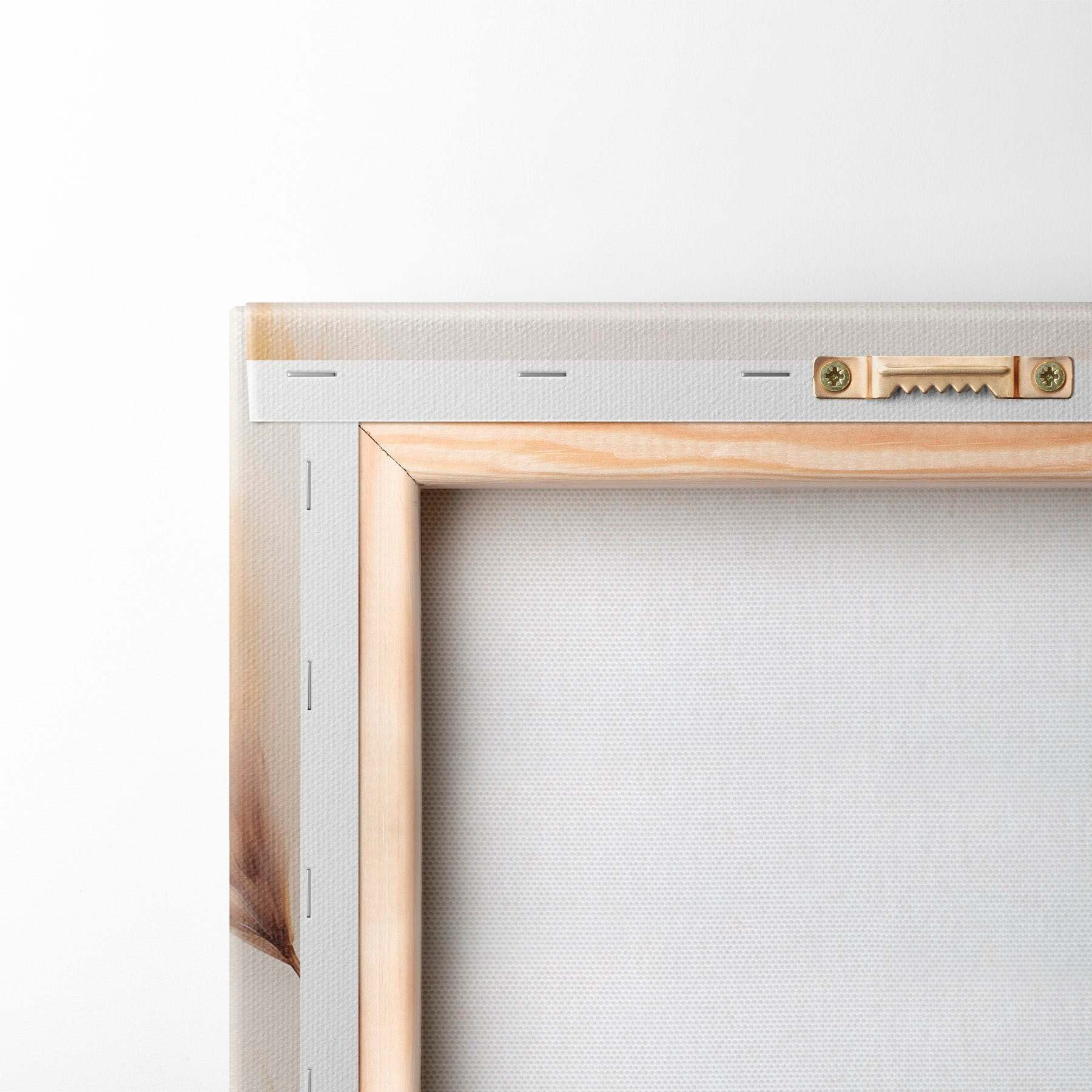 Paveikslėlis Pūkuota pampų žolė „Eco Style“ stiliumi s51093