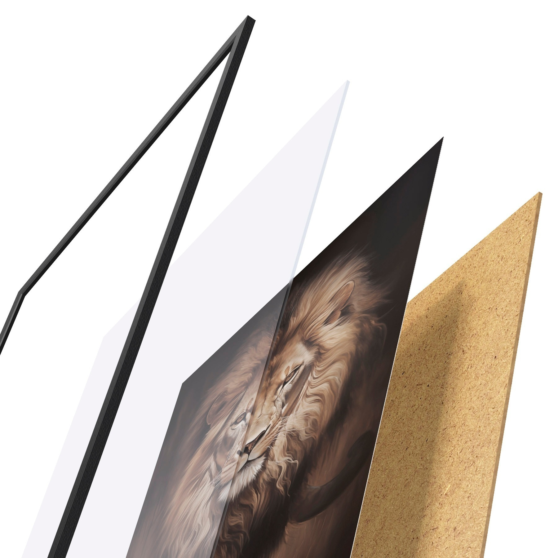 Plakatas Didingas liūtas tamsioje patalpoje f51087