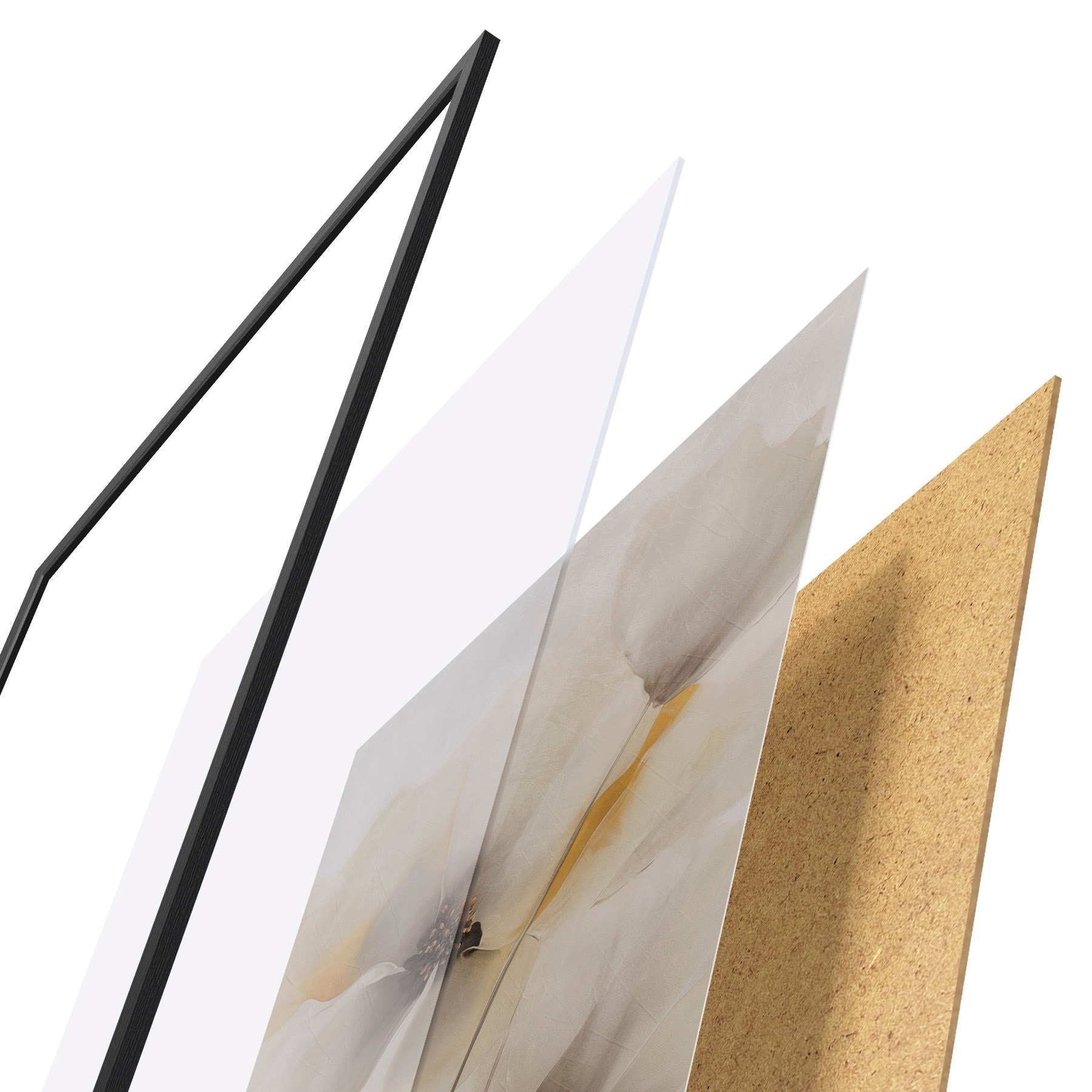 Plakatas Subtilūs aguonai ant plonų stiebelių f51089