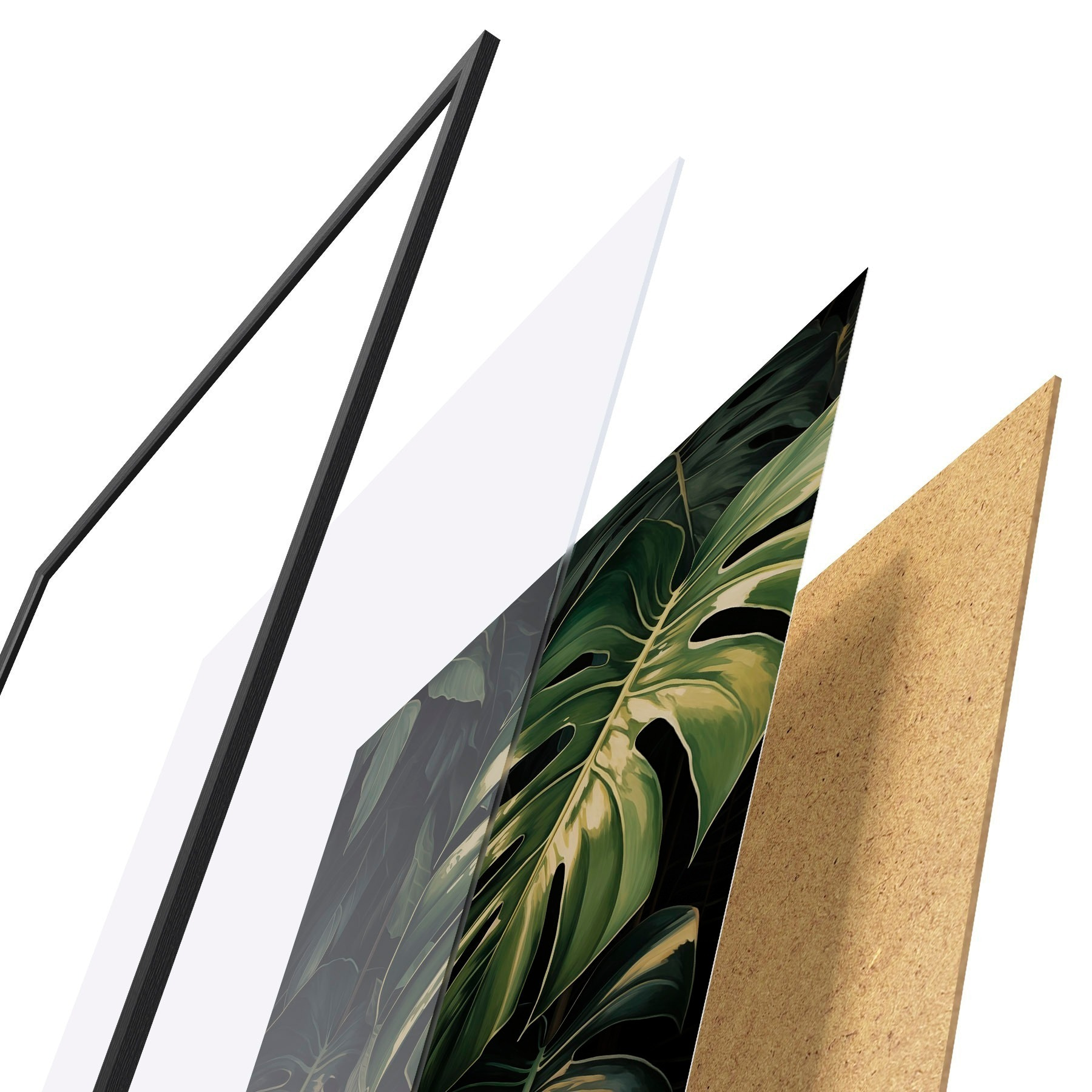 Plakatas Blizgūs monsteros lapai tamsiuose tropikuose f51091