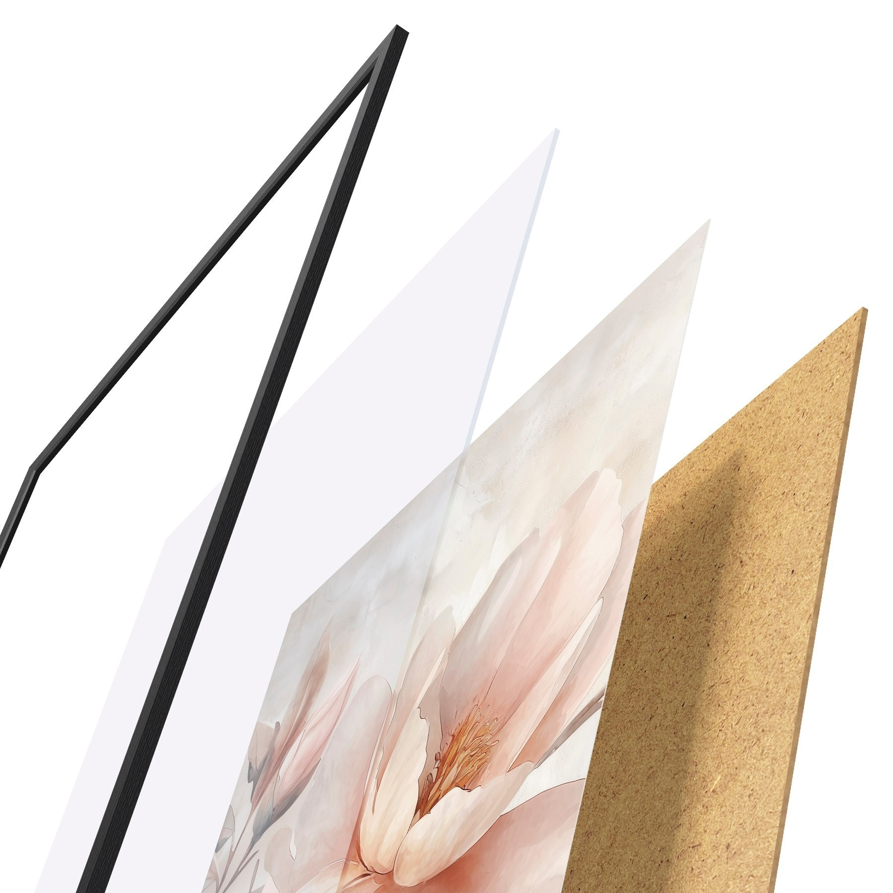 Plakatas Miltinė bijūnė su pumpuru f51097
