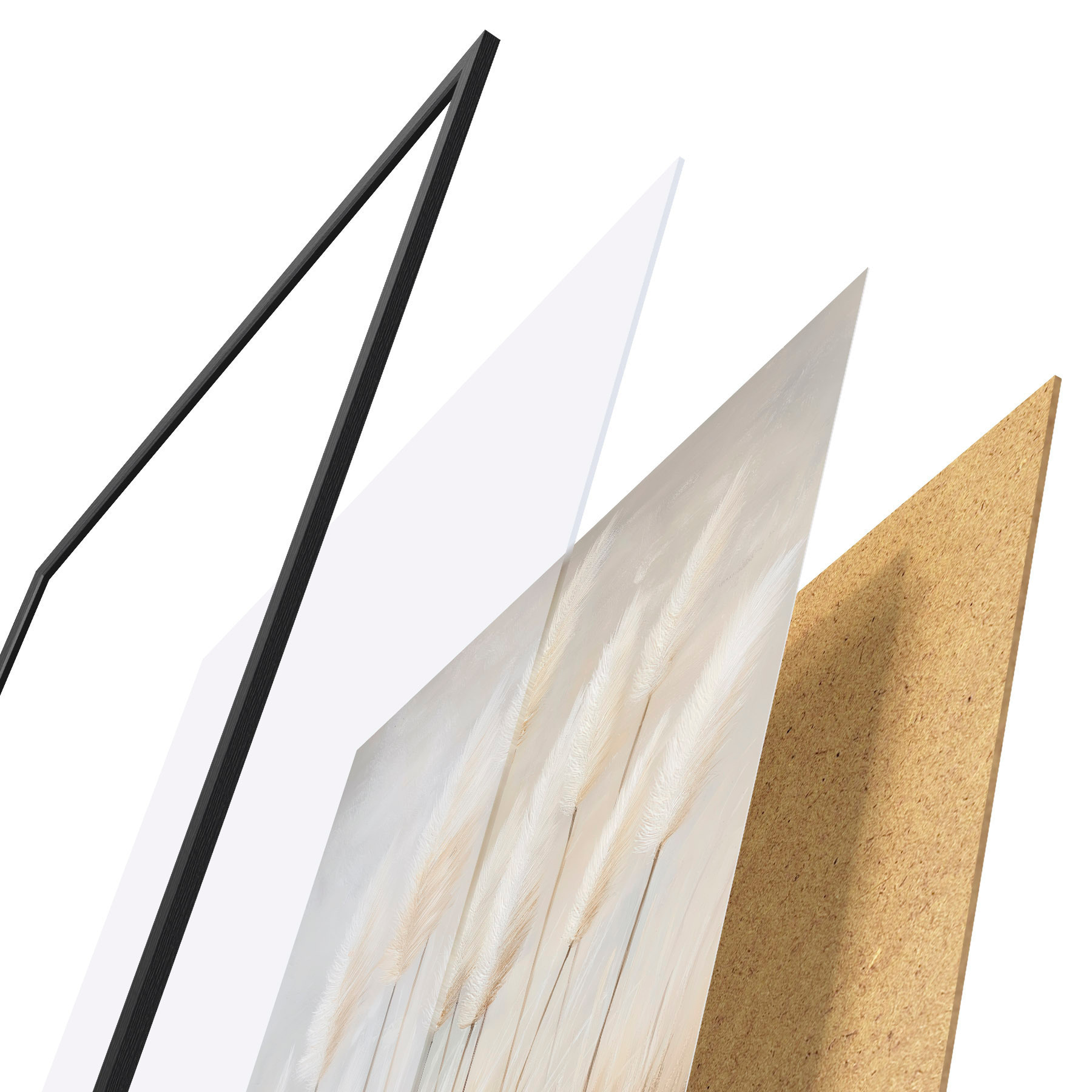 Plakatas Pampų žolė f51150