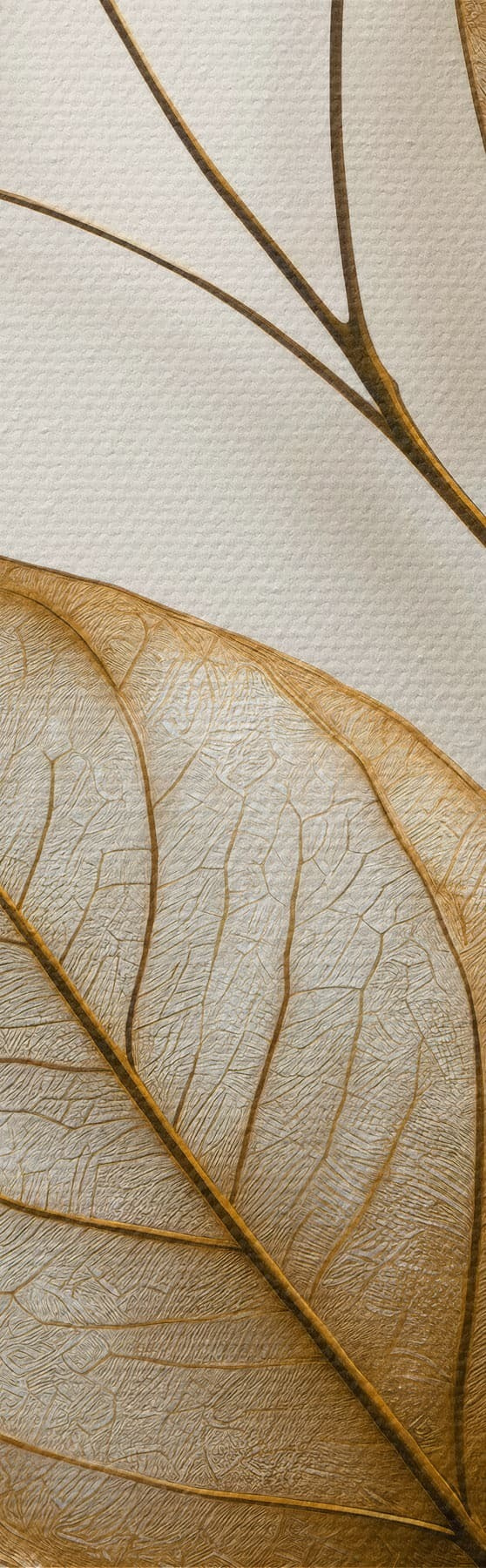 Paveikslėlis Elegantiška botaninė šakelė s50866