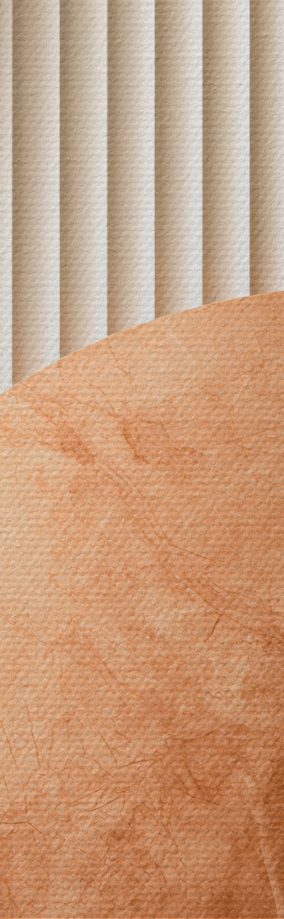 Paveikslėlis Šiuolaikinė abstrakčioji geometrija s51282