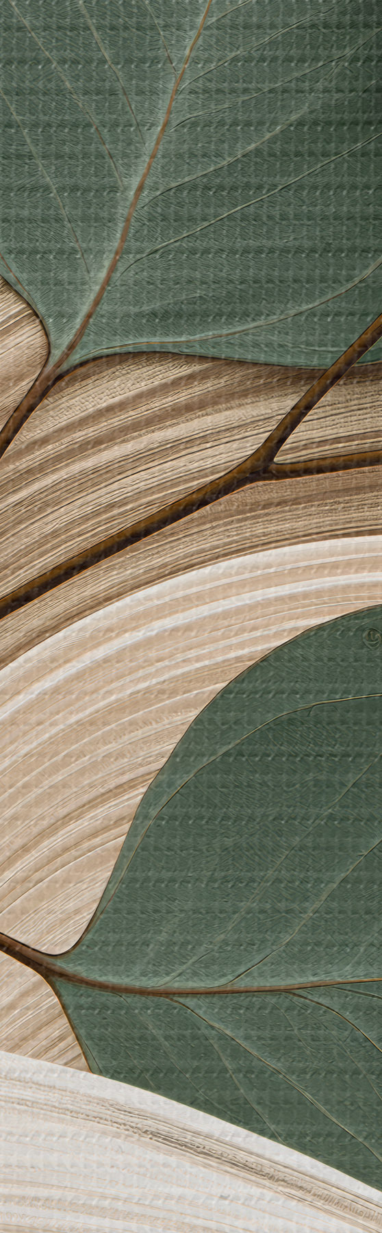 Paveikslėlis Abstrakčios lapų formos ir banguotos linijos s51283