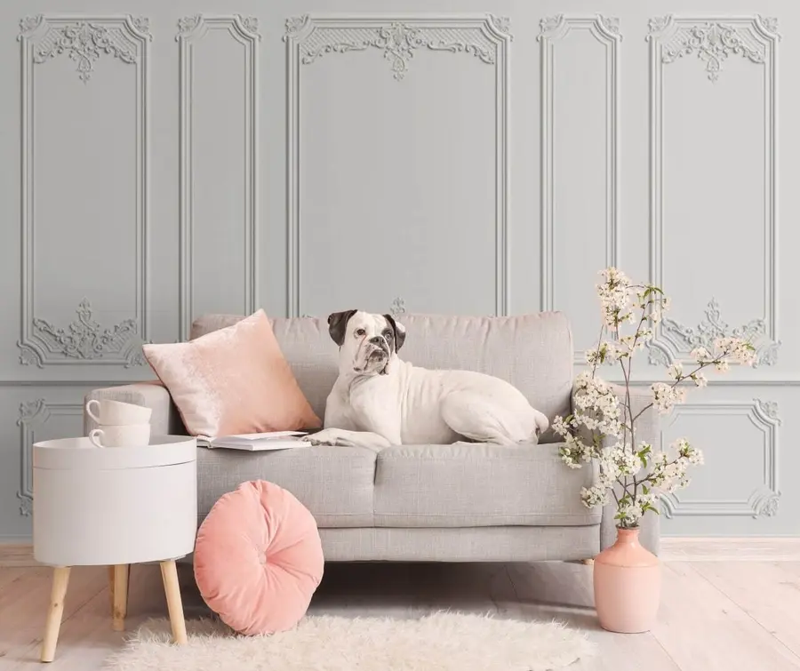 Fototapetai Stačiakampis, šriftas e lygiagretus u72611