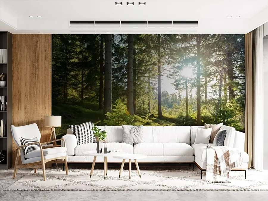 Fototapetai Karkonošės kalnai Lenkijoje u80015