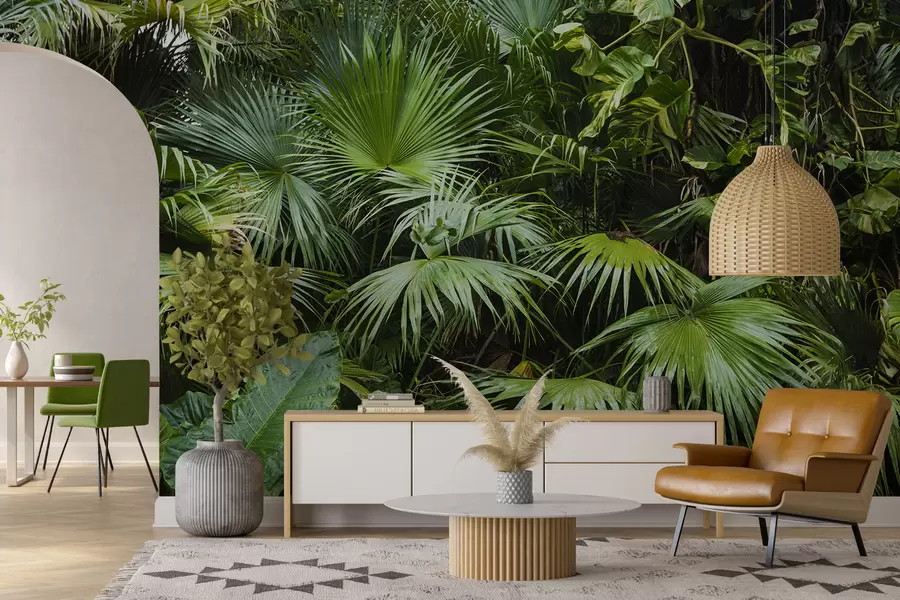 Fototapetai Drėgni lapai džiunglėse u93616